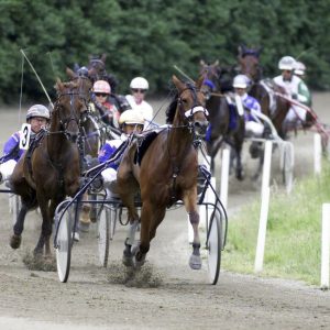 การแข่งขันม้าแข่งสำหรับ American Saddlebred